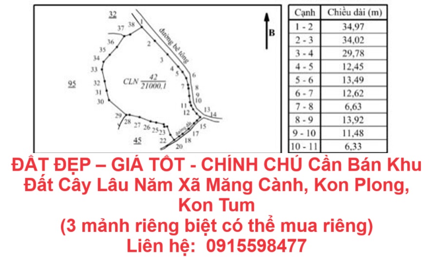 ĐẤT ĐẸP – GIÁ TỐT - CHÍNH CHỦ Cần Bán Khu Đất Cây Lâu Năm Xã Măng Cành, Kon Plong, Kon Tum - Ảnh chính